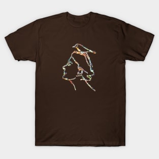 A Woman and Bird T-Shirt